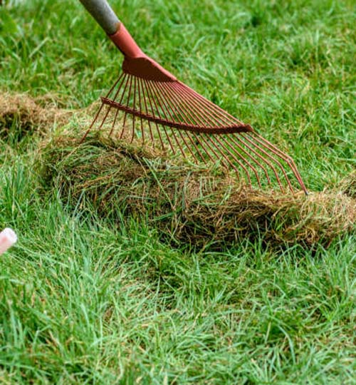 Cleaning the grass with a fan rake after mowing