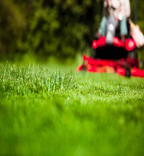 Gardener in the park on a lawn cutting tractor machine