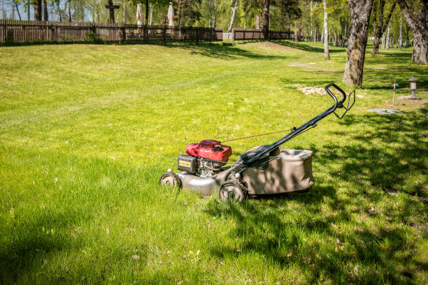Professional lawn mower on lush green grass