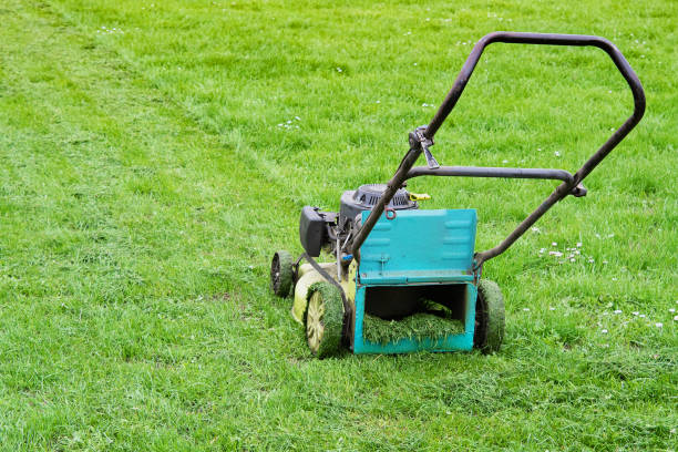 lawn mower in the garden at work in tall grass