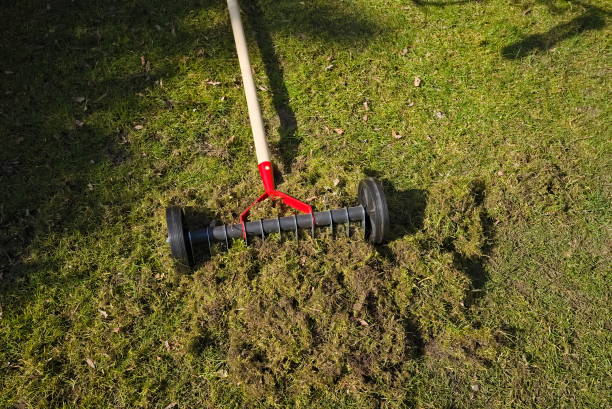 Removing moss from the lawn using a manual aerator