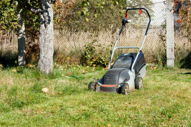 Electric lawn mower on the green lawn of the infield in the autumn garden in warm sunshine. Closeup, copy space.