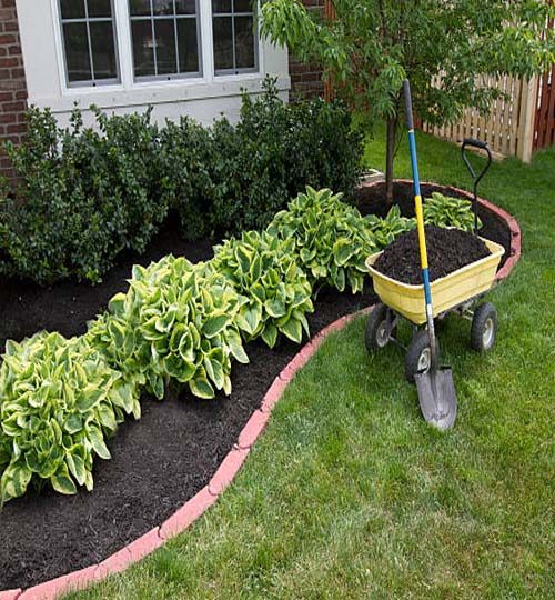 Mulching bed around the house and bushes, wheelbarrel along with a showel.