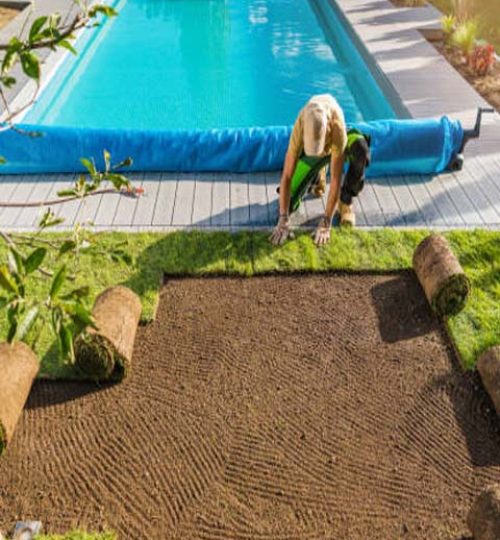 Professional Gardener Installing Roll Out Instant Lawn of Natural Grass Turfs Next to Outdoor Swimming Pool in the Backyard Garden. Landscaping Theme.