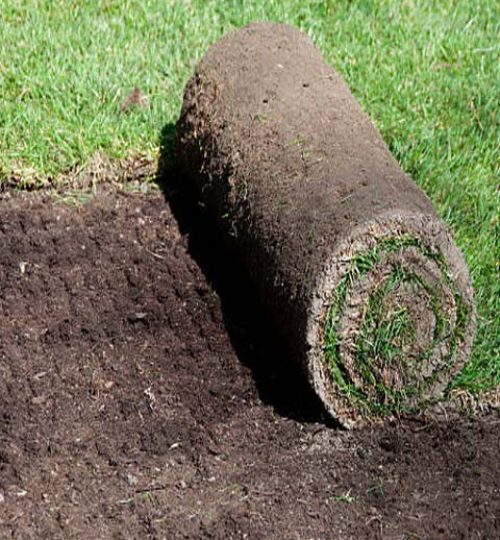 Quick way to get a new lawn. Roll out new turf.
