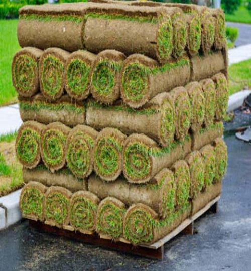 Stack of turf grass rolls a lawn fresh grass to decorate landscape design