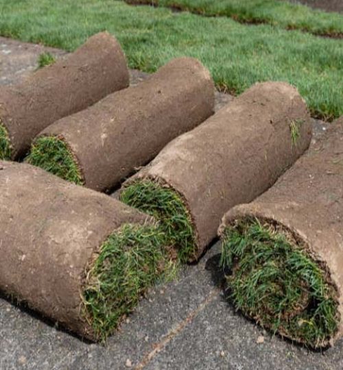 Laying instant green lawn with rolls of sod. Often a DIY project.
Taken in the spring time at our home in the state of Oregon.