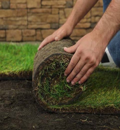 Young man laying grass sod on ground at backyard, closeup. Space for text