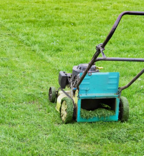 lawn mower in the garden at work in tall grass
