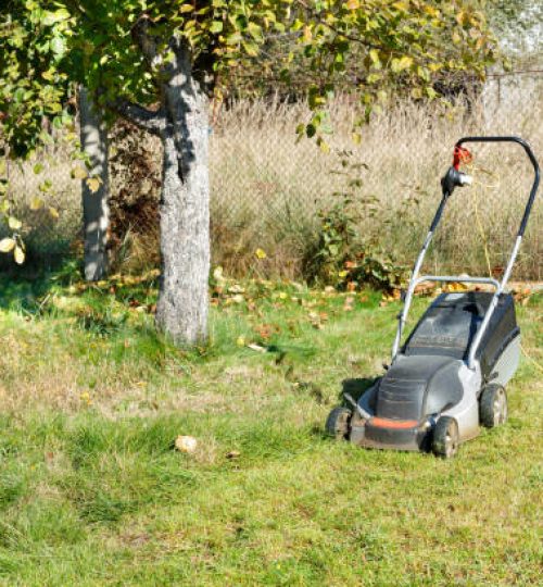 The electric lawnmower is ready to go and stands on a green lawn of a garden plot fenced with a metal mesh netting in bright sunlight.