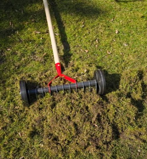 Removing moss from the lawn using a manual aerator